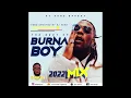 Lagu Best of Burnaboy Mix 2022  #Burnaboy #Afrobeat #BestofBurnaboy #Afrobeats #lovedamini #album