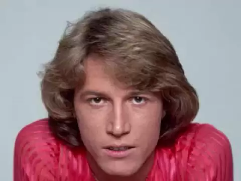 Download MP3 Andy Gibb - I Just Want to Be Your Everything