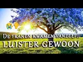 Download Lagu Laat God Je Genezen Door Dit Lied | Aanbidding Die Herstelt