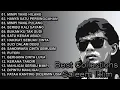 Full Album Saleem Iklim Best Rock Of Malaysian