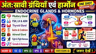 अंतःस्रावी ग्रंथियाँ एवं हार्मोन 🔥 | Endocrine Glands & Hormones Complete Revision||