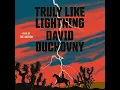 Truly Like Lightning A Novel by David Duchovny Free book
