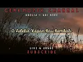 Download Lagu Adelia - Adi Bere (Lirik)