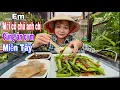 Download Lagu Em nấu bữa cơm miền Tây vào mùa hè tại Nhật mời cô chú anh chị cùng ăn cơm miền Tây