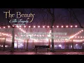 Download Lagu [Lyrics + Vietsub] The Beauty And The Tragedy - Trading Yesterday