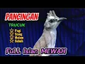 Download Lagu Trucuk ombyokan,  bahan, LIAR,  malas bunyi,  stress langsung NYAUT dengar pancingan trucuk GAcOR