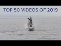 Top 50 Best Viral Videos of 2019