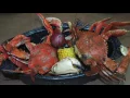 Best Restaurants of the Space Coast Jake s Crab Shack in Melbourne Beach