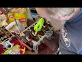 2015 Kia Soul - Engine Rebuild 2 0 G4NA