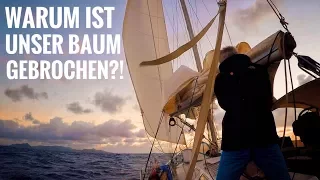 Warum ist unser Baum gebrochen? Über Baumbremse & ein Öko-Exkurs – SY7seas