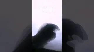 تركضلي تركضلي وفاتح بيدك تحضني تحضني حضني يريدك     دندنها