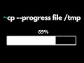 why linux cp command doesn t show progress bar