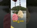 Download Lagu Mau Mancing Ikan Apa Ni Bolo‼️😱 #fishing #viral #trendjng #fyp