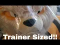 Unboxing Pokemon Center 59 Arcanine Plush This Boi is HUGE