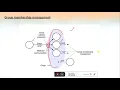 CS 407 Distributed Computing - Module 3