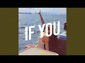 Download Lagu If You