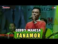 Download Lagu GERRY MAHESA | TANAMOR  | New MANAHADAP (Cover)