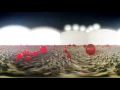 360 VR Octane Render