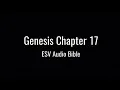 Genesis Chapter 17 ESV Bible