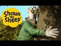 Lagu Save the Tree | Shaun the Sheep | S1 Full Episodes