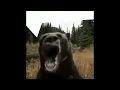 laggy bear five lags at freddy s meme from comments no batidao funk