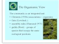 community structure
