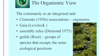 community structure