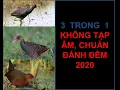 Lagu TIẾNG CÚM NÚM, CHẰNG NGHỊCH (Quốc Hoa), ỐC CAO \
