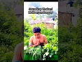 Download Lagu Tinglidiw sawadikap hap🥲 #funny #thailand #viral