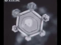 Water Consciousness Intent Dr Masaru Emoto