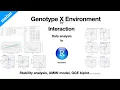 Stability analysis in R Genotype X Environment interaction Fixed effect models AMMI GGE plot