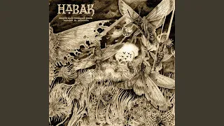 la no violencia es un privilegio