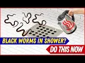 How to Get Rid of Little Black Worms in Shower