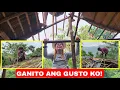 Download Lagu AETA TRIBE: KUGON GAMIT PANG BUBONG LIBRE LANG SA BUNDOK MASIPAG KA LANG KUMUHA