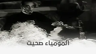 حرام عليك البروفسير صحى المومياء 