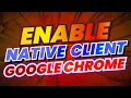 Enable Native Client In Google Chrome