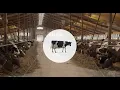 Download Lagu Lely Dairy XL principles - Build to manage - EN