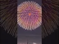 Lagu Shanghai New Year Fireworks