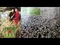 Download Lagu Peganglah Aku Kutangkap Hatimu