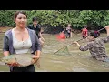 Download Lagu Country girl harvesting fish in pond.