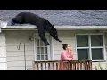 Best Fails of the Week Try Not to Laugh