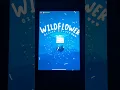 Download Lagu App: ZoomArt #billieeilish #wildflower #infinitezoom #music #song #art #lyrics #fypage