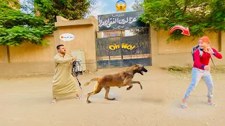 لما اخوك الصغير ميرداش يروح المدرسه وابوك يجبله كلاب تخوفه عمر نصر 