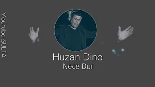                         هوزان دينو نه چه دوور دندنها