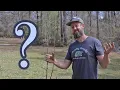Why Your Fruit Trees are Growing Slow And 4 EASY Steps To Fix It
