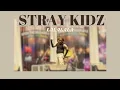Download Lagu STRAY KIDZ - 락 (樂) (LALALALA) (Dance Cover Solo by Fiqri) @ SPORTACULINARE 2024