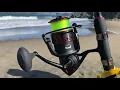 Fiblink 13 Surf Rod and Penn Fierce II spinning reel is my crabbing gear