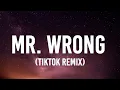 Mary J. Blige - Mr. Wrong (Lyrics) Feat. Drake | "Me and Mr. Wrong get along so good" [Tiktok Remix]