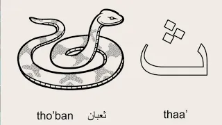 أكبر ثعبان في العالم SHORTS 