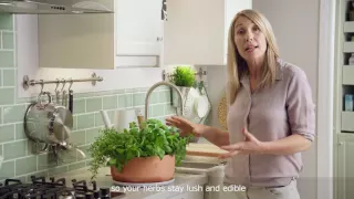 - AVANDBAR Selfwatering Pot